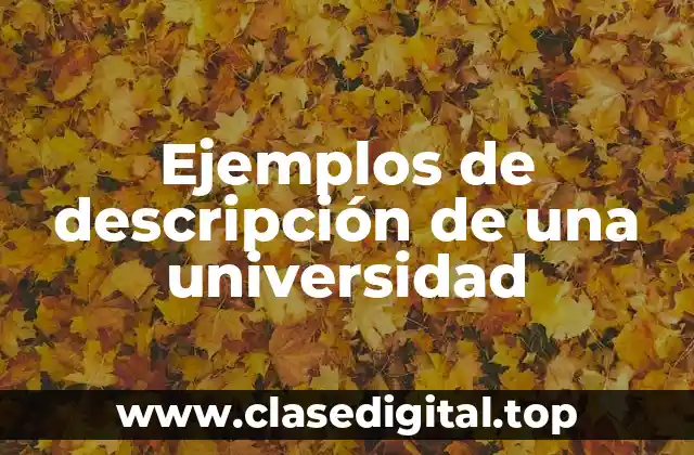 Ejemplos de descripción de una universidad