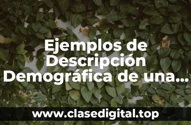 Ejemplos de Descripción Demográfica de una Empresa