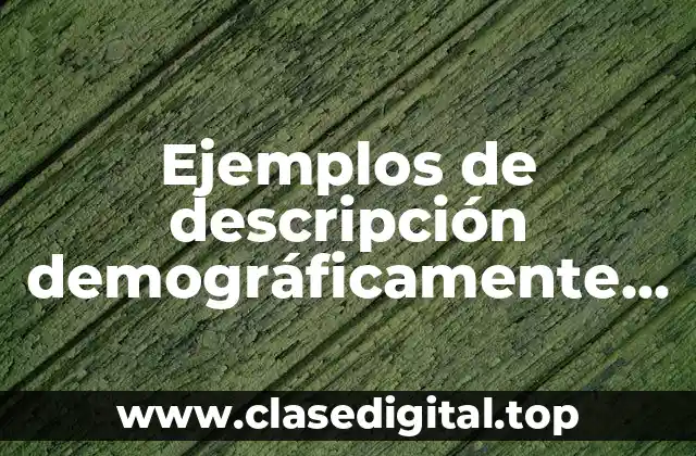 Ejemplos de descripción demográfica de una empresa