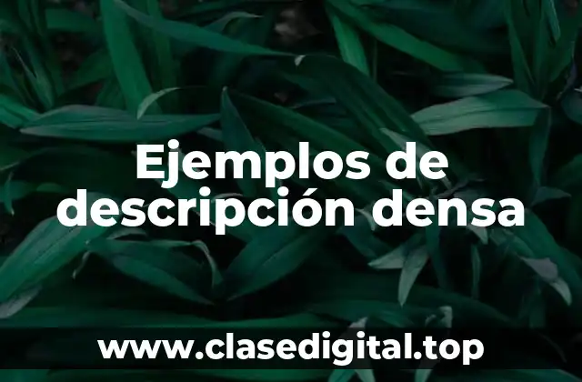 Ejemplos de descripción densa