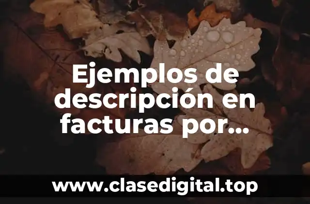 Ejemplos de descripción en facturas por arrendamiento financiero