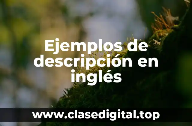 Ejemplos de descripción en inglés
