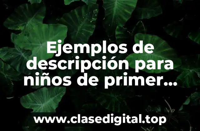 Ejemplos de descripción para niños de primer grado