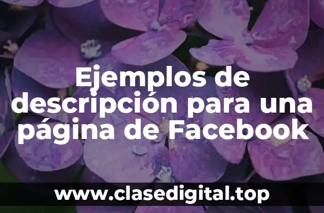 Ejemplos de descripción para una página de Facebook