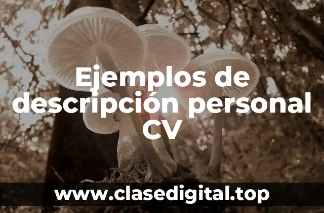 Ejemplos de descripción personal CV