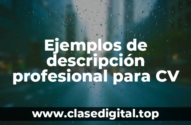 Ejemplos de descripción profesional para CV