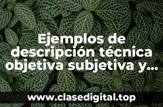 Ejemplos de descripción técnica objetiva subjetiva y literaria