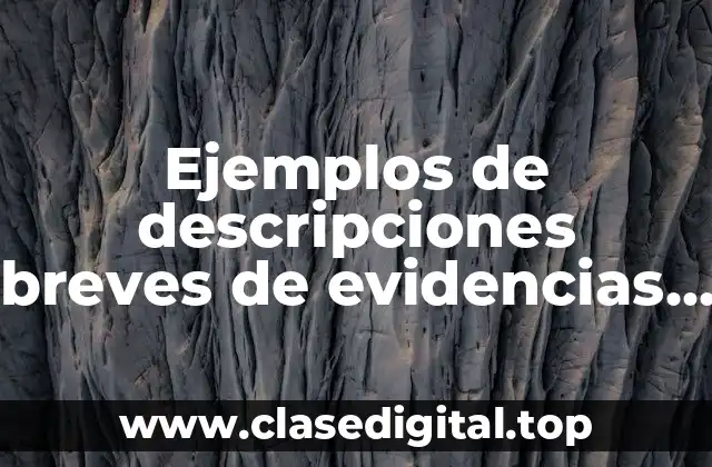 Ejemplos de descripciones breves de evidencias de directivos