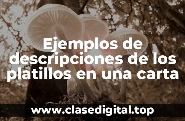 Ejemplos de descripciones de los platillos en una carta