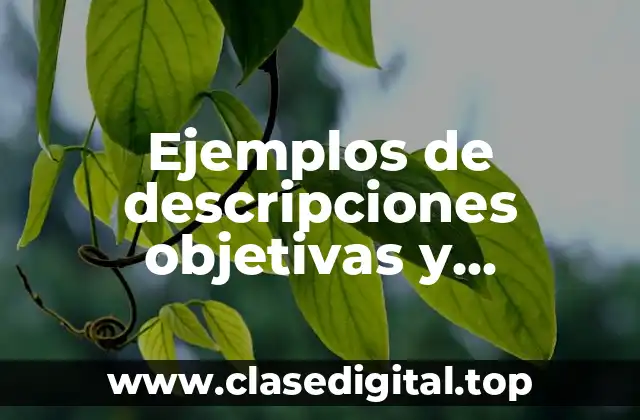 Ejemplos de descripciones objetivas y subjetivas de química y Significado