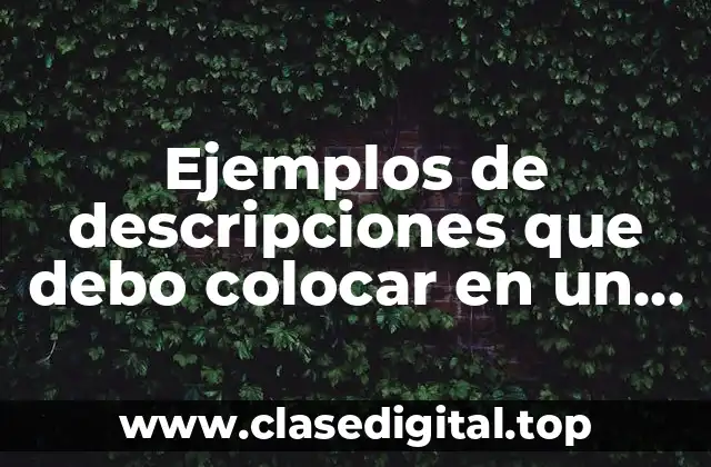 Ejemplos de descripciones que debo colocar en un curriculum vitae