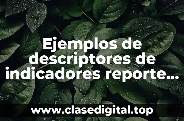 Ejemplos de descriptores de indicadores reporte de mejoras