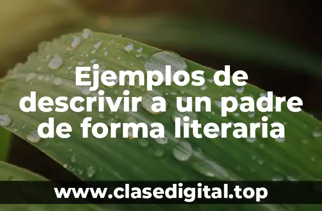 Ejemplos de descrivir a un padre de forma literaria