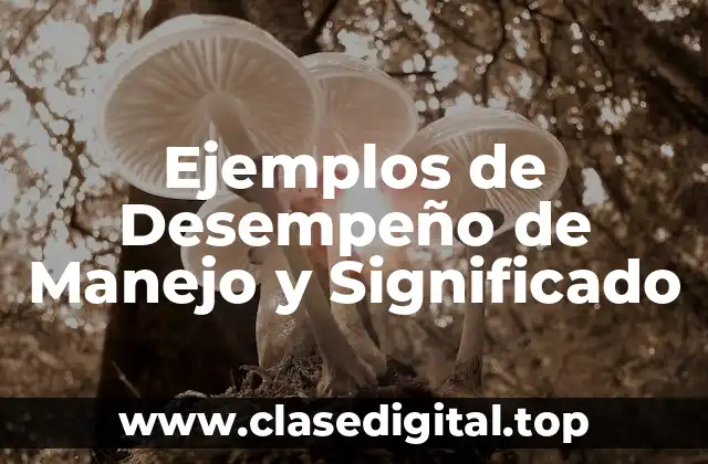 Ejemplos de Desempeño de Manejo