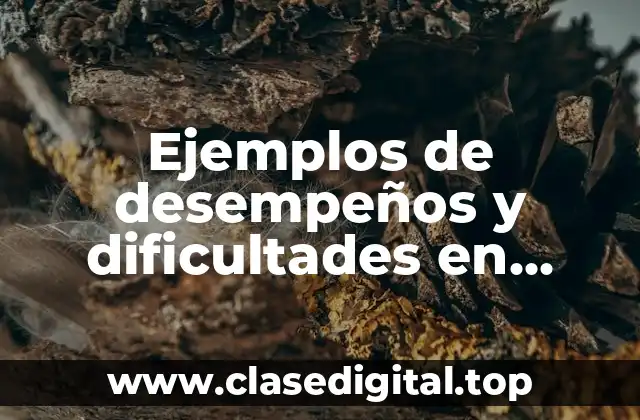 Ejemplos de desempeños y dificultades en matemáticas primaria