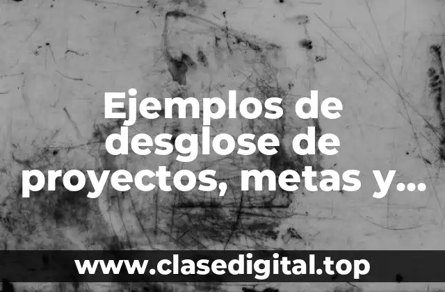 Ejemplos de desglose de proyectos, metas y montos en psicología