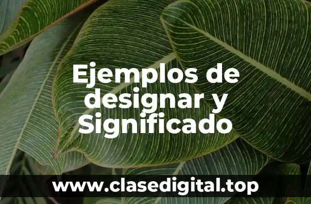 Ejemplos de designar y Significado