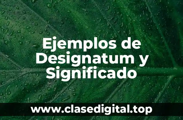 Ejemplos de Designatum y Significado