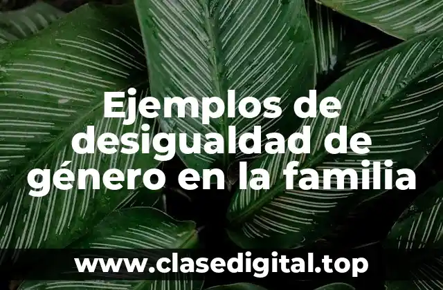 Ejemplos de desigualdad de género en la familia