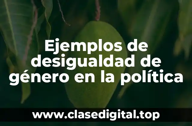 Ejemplos de desigualdad de género en la política