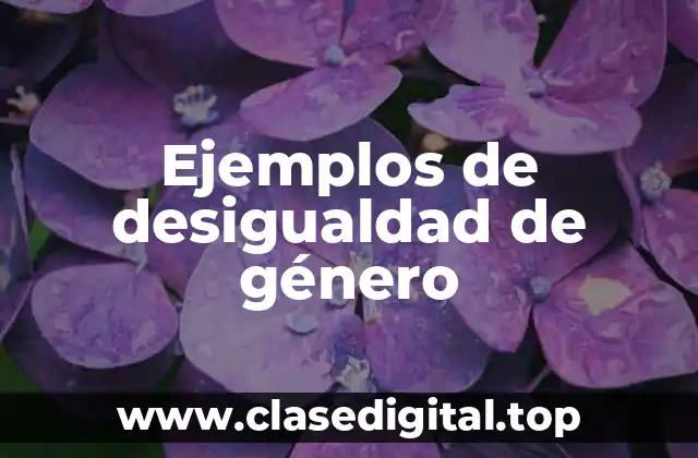 Ejemplos de desigualdad de género