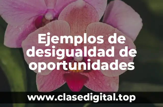 Ejemplos de desigualdad de oportunidades