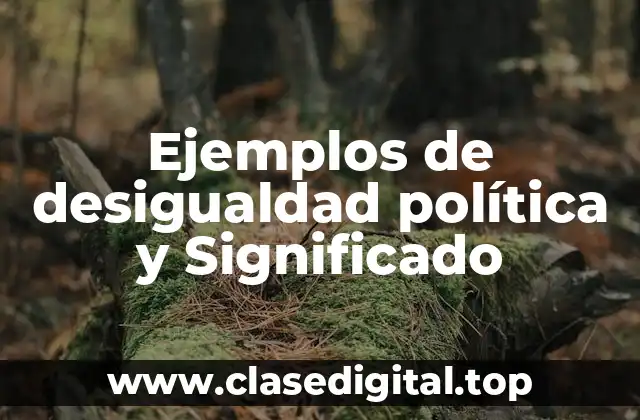 Ejemplos de desigualdad política
