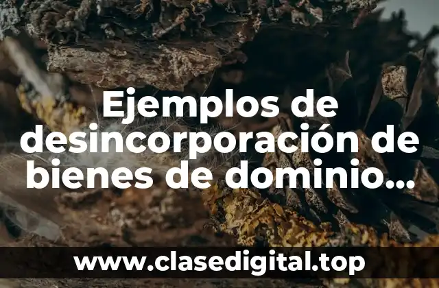 Ejemplos de desincorporación de bienes de dominio público en México