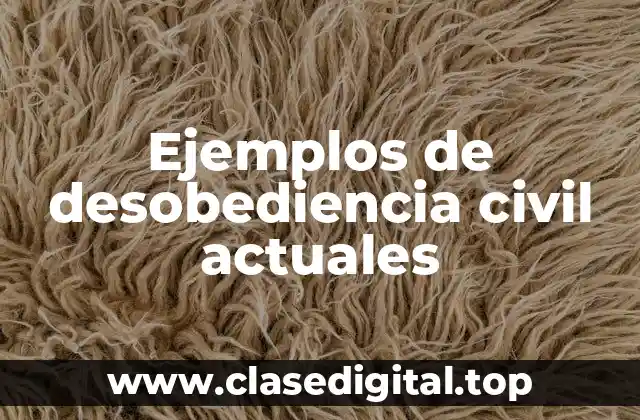 Ejemplos de desobediencia civil actuales