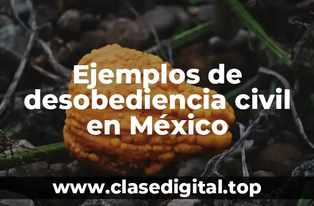 Ejemplos de desobediencia civil en México