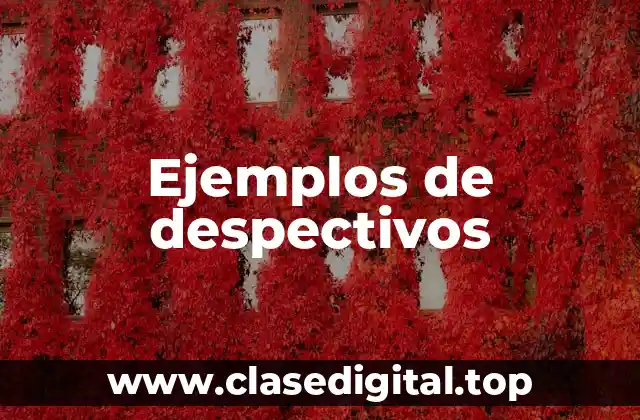 Ejemplos de despectivos