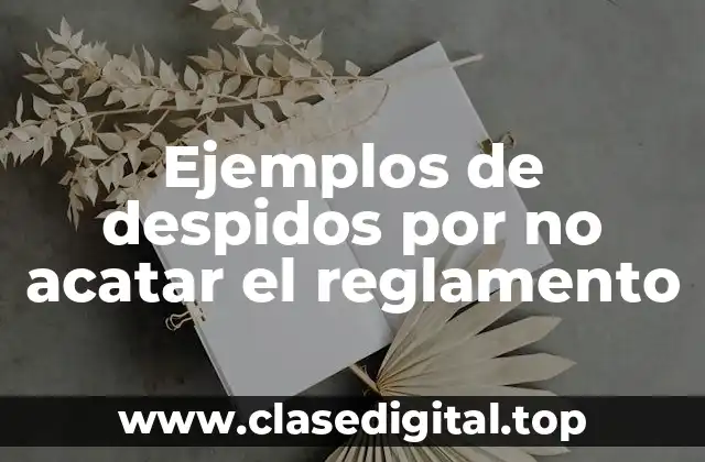 Ejemplos de despidos por no acatar el reglamento
