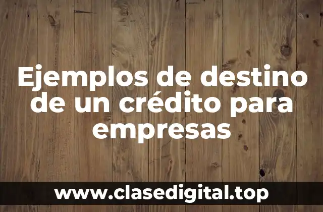 Ejemplos de destino de un crédito para empresas