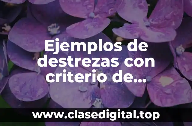 Ejemplos de destrezas con criterio de desempeño para inglés