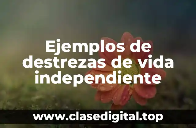 Ejemplos de destrezas de vida independiente