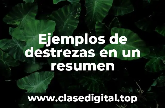 Ejemplos de destrezas en un resumen