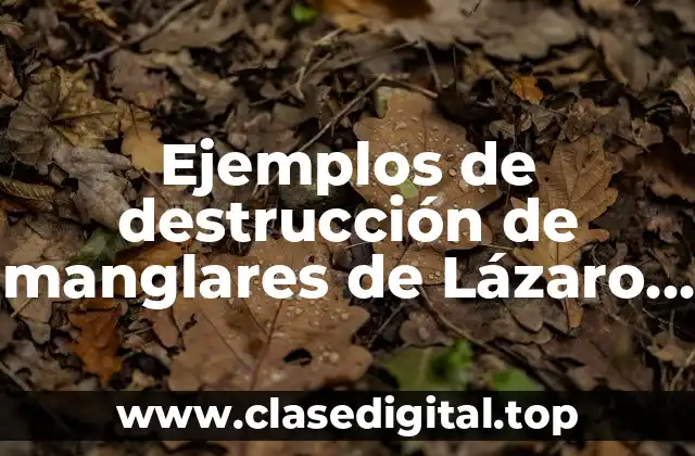 Ejemplos de destrucción de manglares de Lázaro Cárdenas