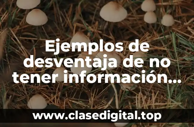 Ejemplos de desventajas de no tener información financiera