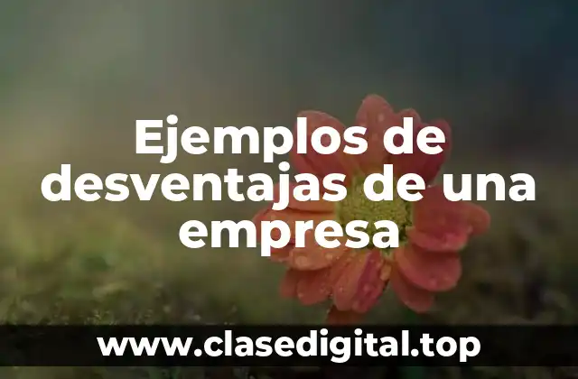 Ejemplos de desventajas de una empresa