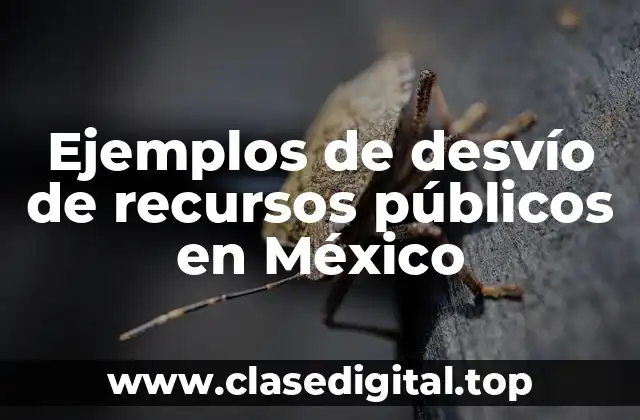 Ejemplos de desvío de recursos públicos en México