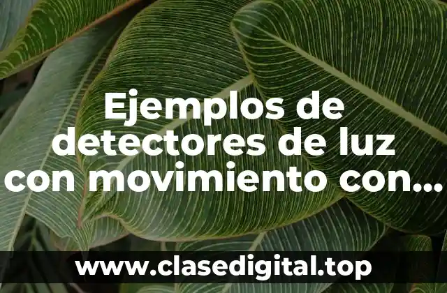 Ejemplos de detectores de luz con movimiento con modelo