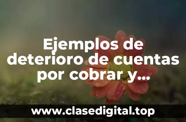Ejemplos de deterioro de cuentas por cobrar y Significado