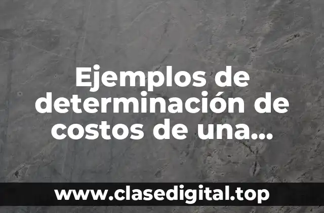 Ejemplos de determinación de costos de una empresa