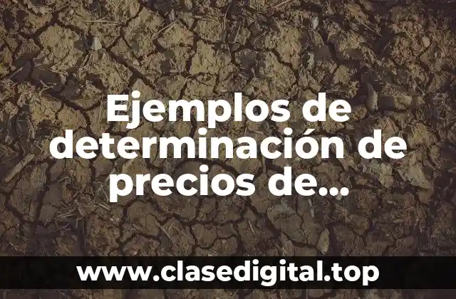Ejemplos de determinación de precios de segmentos-cliente