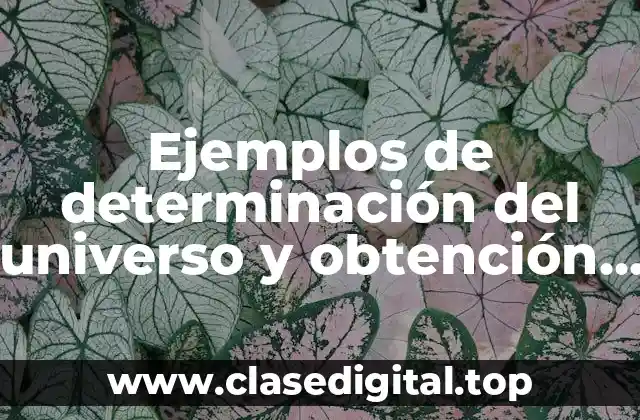 Ejemplos de determinación del universo y obtención de la muestra