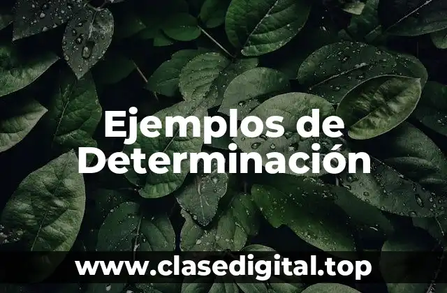 Ejemplos de Determinación