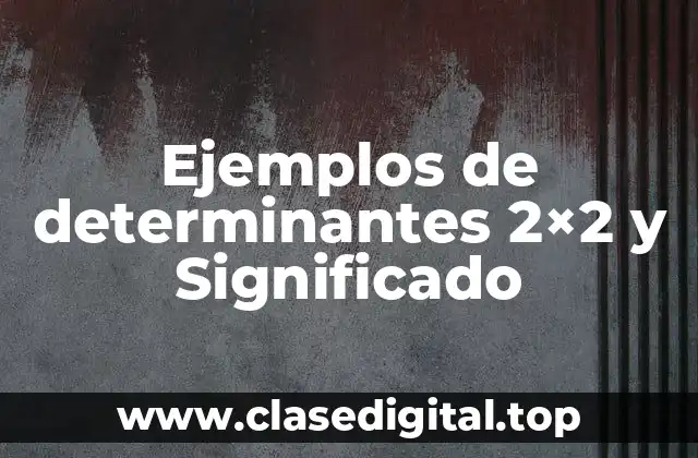 Ejemplos de determinantes 2×2 y Significado