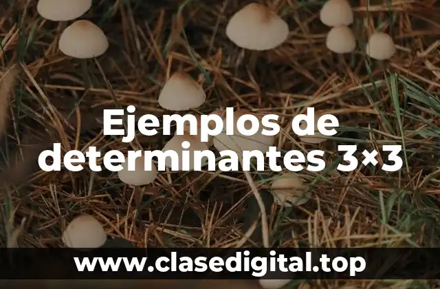 Ejemplos de determinantes 3×3