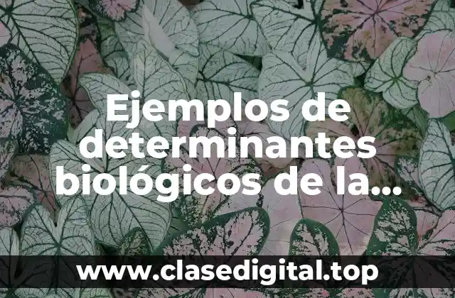 Ejemplos de determinantes biológicos de la salud y Significado