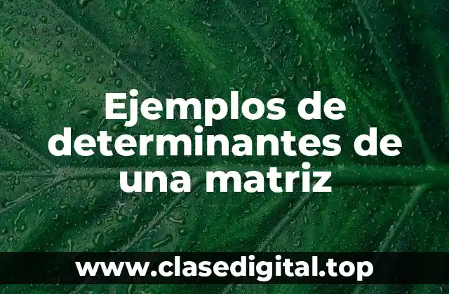 Ejemplos de determinantes de una matriz